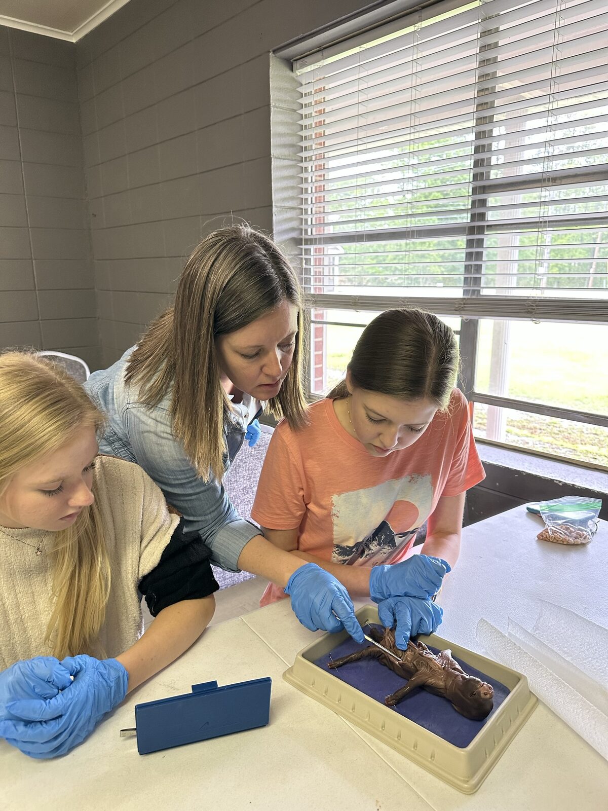 A tutor and two students examine a specimen during a science tutorial